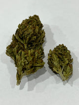 durban poison buds