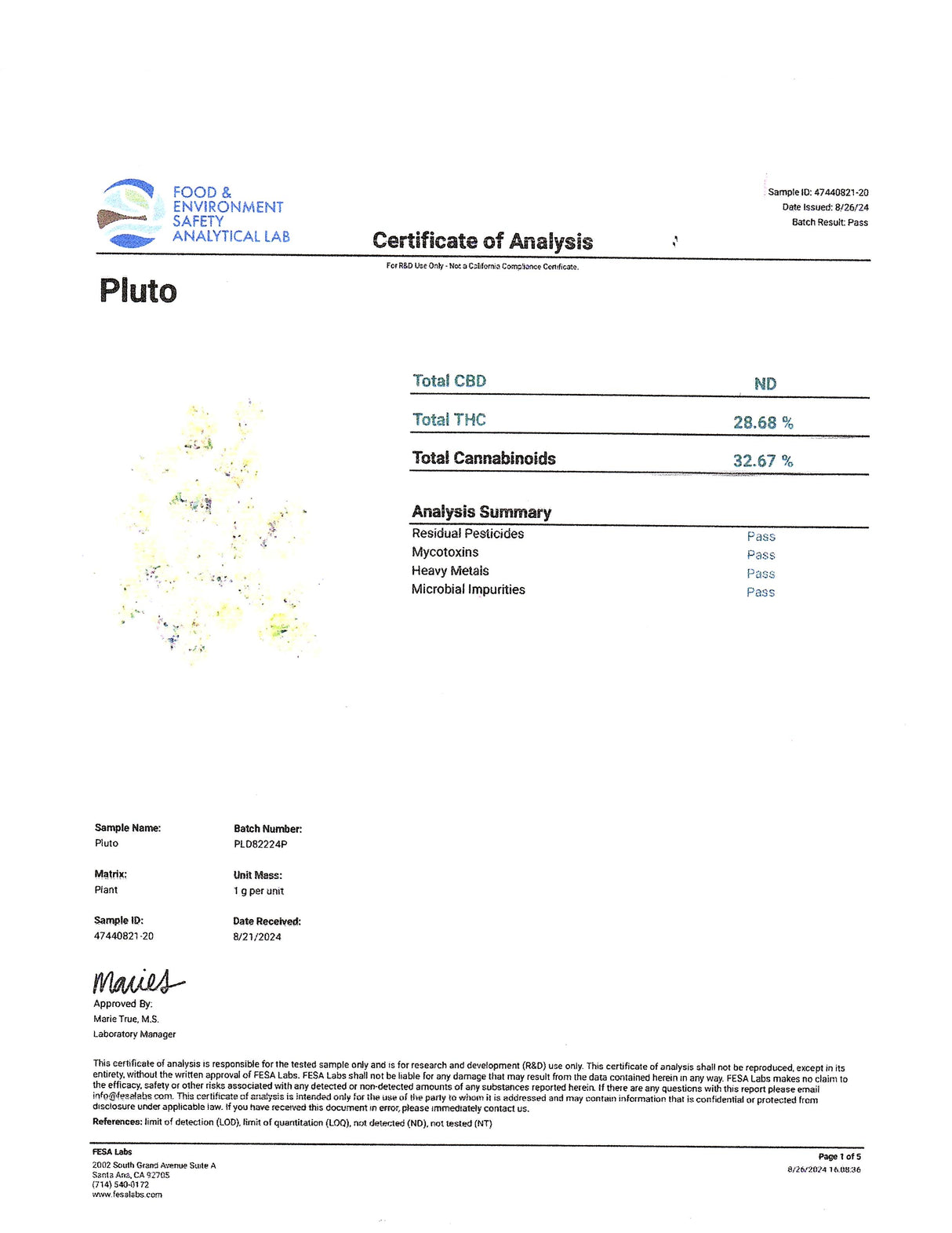 Midwest CBD Thca Flower Indoor Pluto