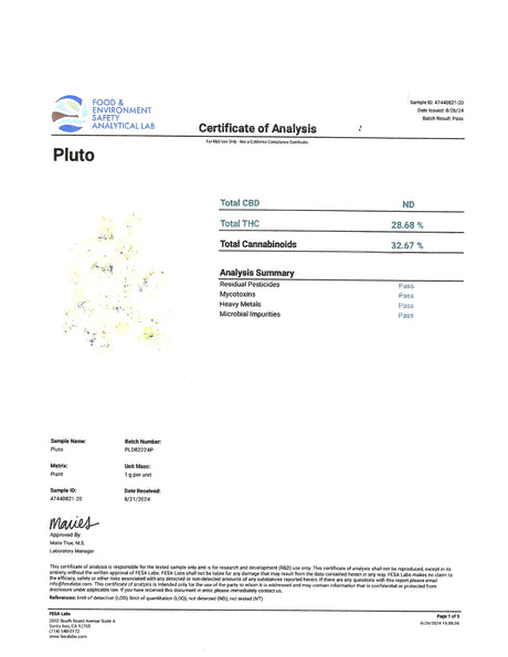 Midwest CBD Thca Flower Indoor Pluto